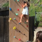 Kid Rock Wall Holds (1)