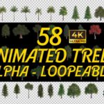 58 Animated Trees 4K Loopeables